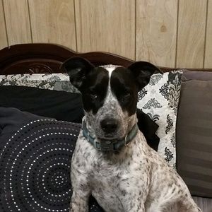 Meet your Posher, Cliff